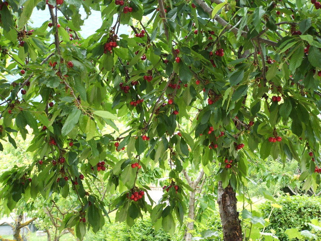 Abruzzo Segreto Acomodação com café da manhã Navelli Exterior foto